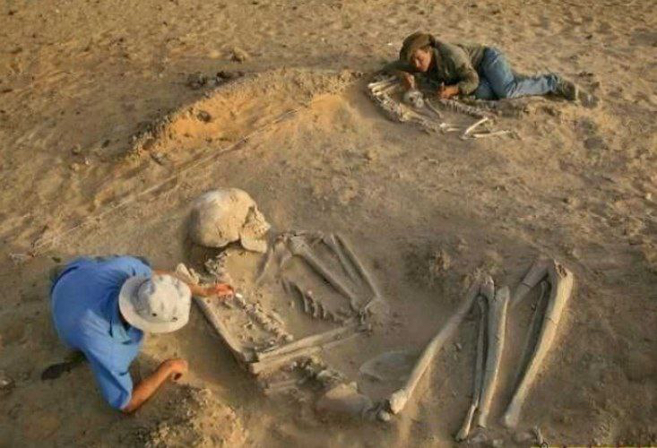 Известный институт США признал, что уничтожил 1000 гигантских человеческих скелетов